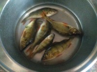 IMG_20210628_072511.jpg