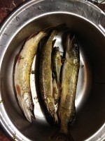 IMG_20210625_212427.jpg