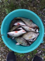 SAVE_20210624_215623.jpg