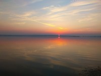 IMG_20210623_031751.jpg
