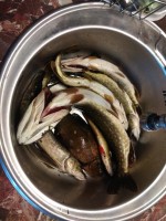 IMG_20210619_115605.jpg