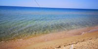 IMG_20210702_100204.jpg