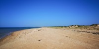 IMG_20210702_100116.jpg