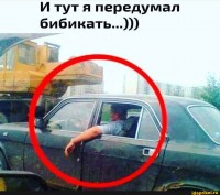 биби.jpeg