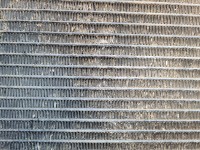 20210712_123311.jpg