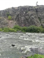 IMG-20210711-WA0016.jpg