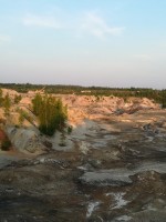 IMG-20210711-WA0044.jpg