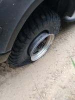IMG_20210719_120310.jpg