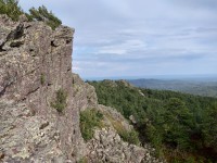 IMG_20210722_162256.jpg