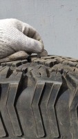 IMG_20210725_133141.jpg