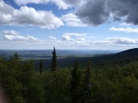 IMG_20210728_142536.jpg