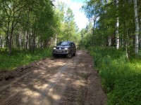 IMG_20210729_073627_1.jpg