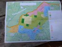 IMG_20210728_120341.jpg