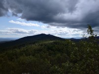 IMG_20210728_142539.jpg