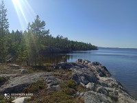 IMG_20210807_144954.jpg