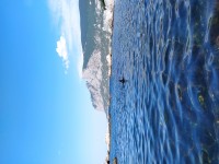 IMG_20210815_103028.jpg