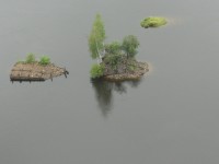 DSC09107.JPG