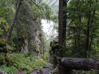 DSC09113.JPG