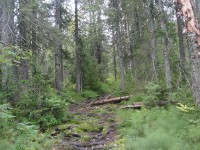 DSC09114.JPG