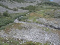 DSC09154.JPG