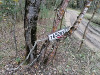 IMG_20210919_131807.jpg