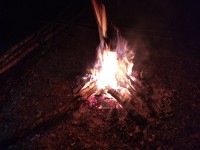 IMG_20210917_220859.jpg