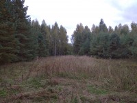 IMG_20210917_125726.jpg