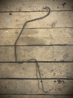 F8283ABF-60A6-4A07-8D49-6BDB4586479F.jpeg