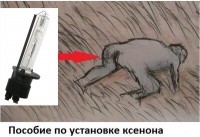 IMG-20180729-WA0027.jpg