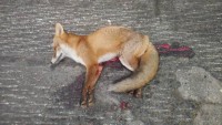 DSC_0014.jpg