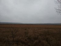 IMG_20211105_142405.jpg