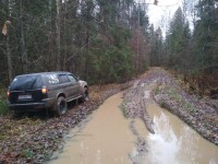 IMG_20211104_151049.jpg