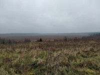 IMG_20211105_141659.jpg