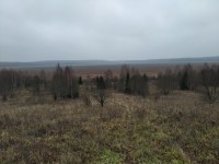 IMG_20211105_142146.jpg