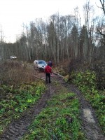 IMG_20211106_155303.jpg