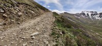 IMG_20210619_134740.jpg