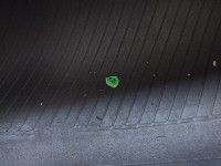 IMG_20211129_110932.jpg