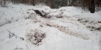 IMG_20211130_133923_9.jpg