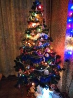 IMG_20211224_203443.jpg