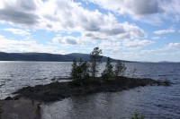 IMG_20211229_003225.jpg