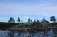 IMG_20211229_003206.jpg