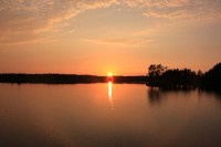 IMG_20211229_003147.jpg