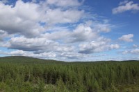 IMG_20211229_003127.jpg