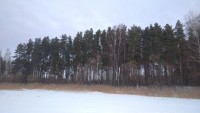 IMG-20220105-WA0017.jpeg