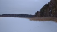 IMG-20220105-WA0004.jpeg