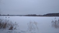 IMG-20220105-WA0002.jpeg