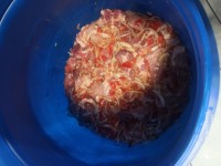 IMG_20220121_132652.jpg