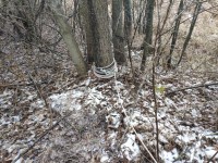 IMG_20201212_104448.jpg