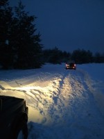 IMG_20220129_172238.jpg