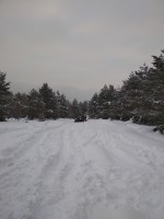 IMG_20220129_160646.jpg